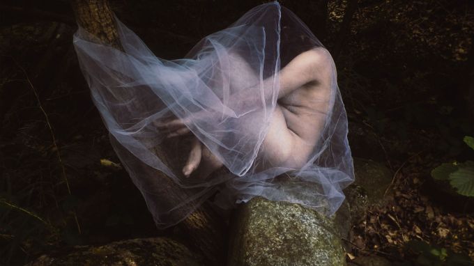 Isabella Quaranta - Inter arbores